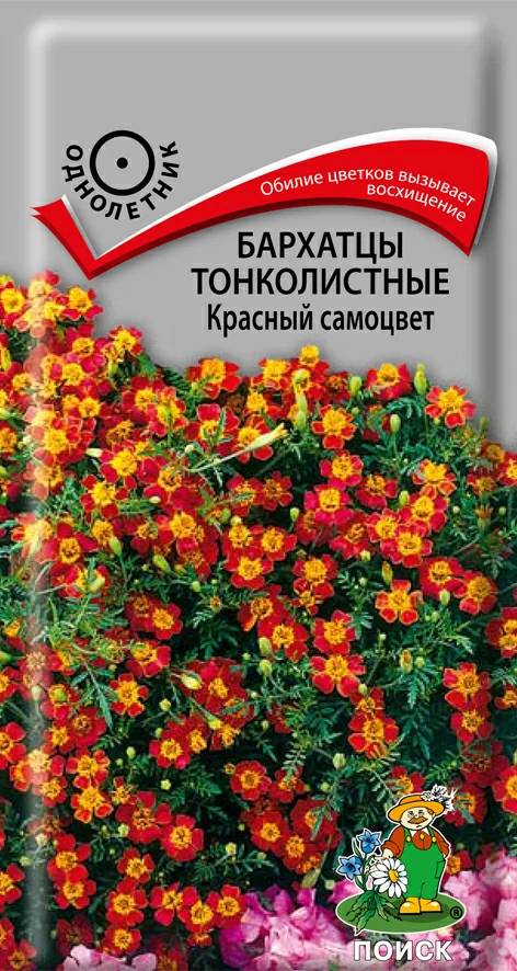 Бархатцы (Тагетес) тонколистные Красный самоцвет 