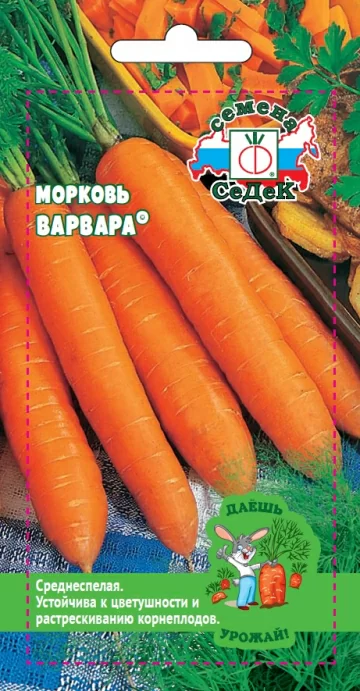Морковь Варвара® (СеДек)