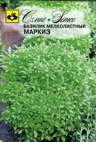Базилик мелколистный Маркиз (зеленый) (0,5 гр. Семко 826238)