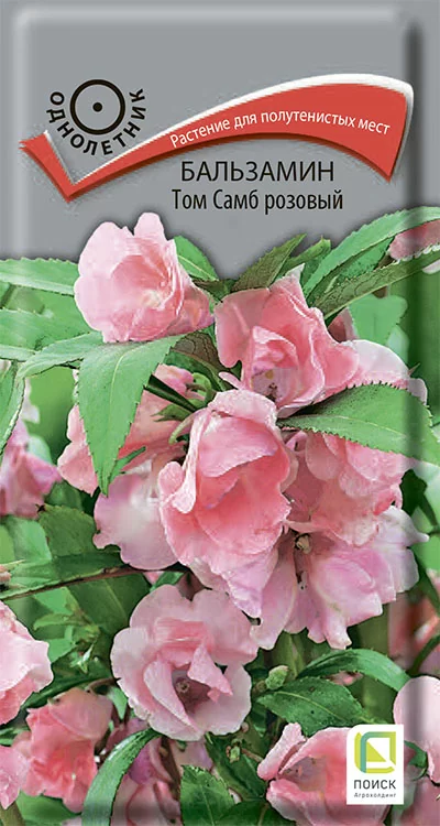 Бальзамин Том Самб розовый (Поиск)