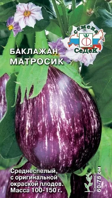 Баклажан Матросик (СеДеК)