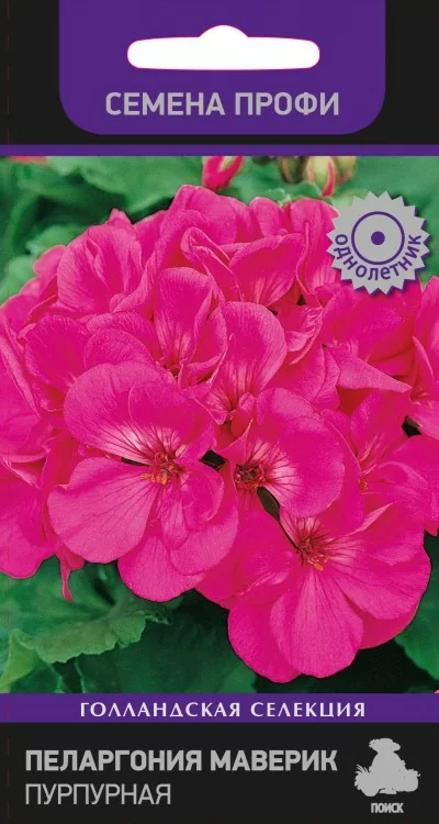 Пеларгония Маверик Пурпурная (Семена Профи) 