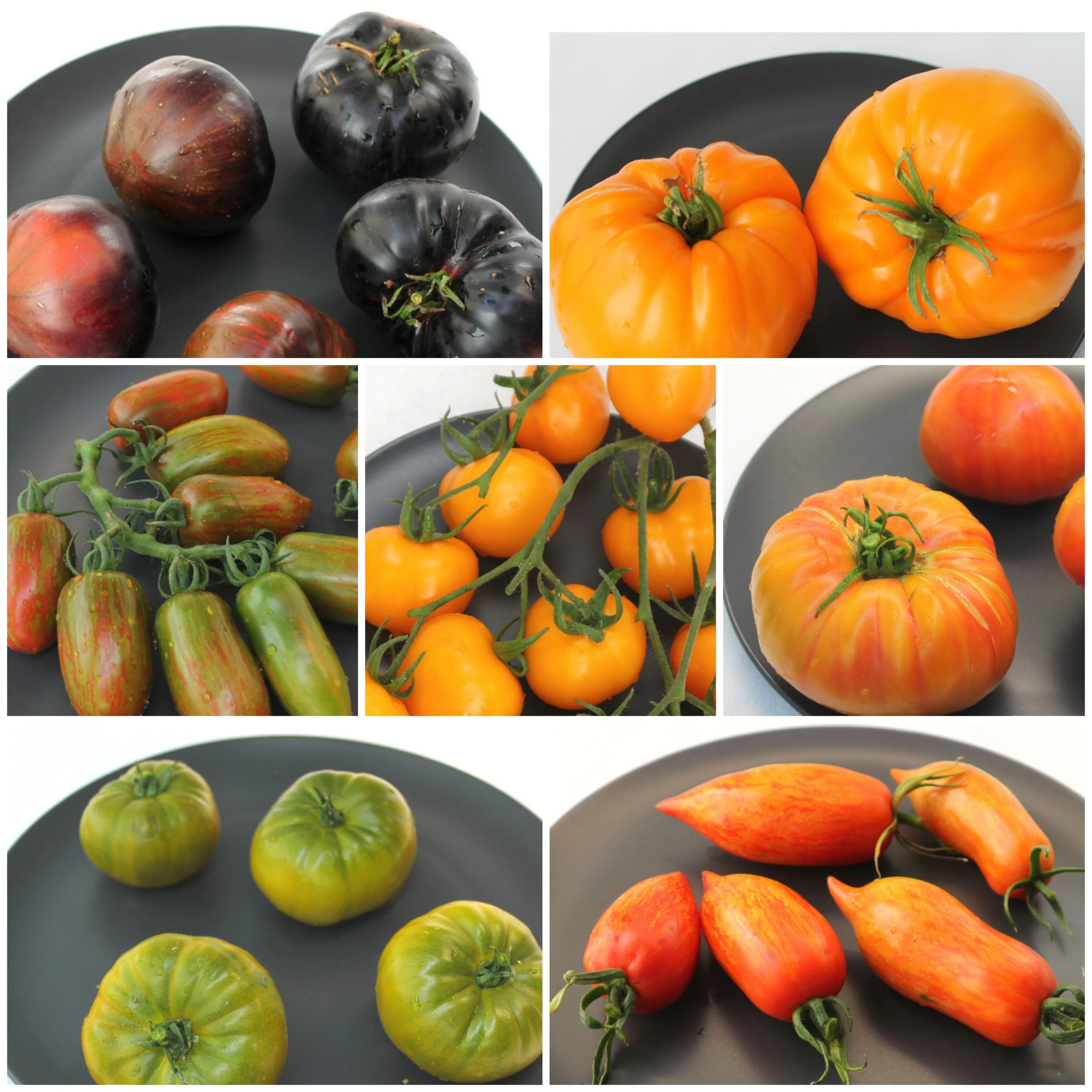 Набор томатов универсальный