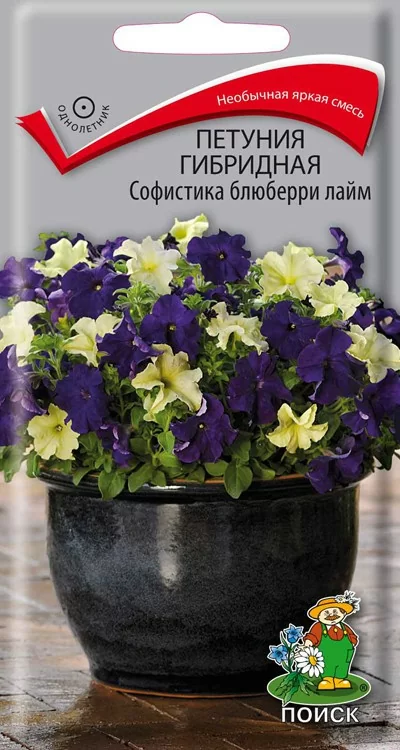Петуния гибридная Софистика Блюберри лайм 