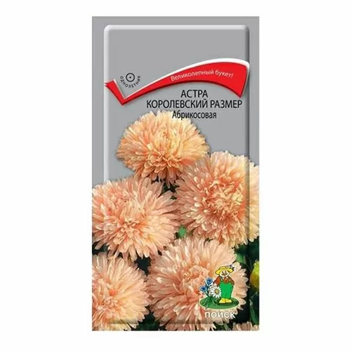 Астра королевский размер Абрикосовая (0,1 гр. Поиск 029281.)