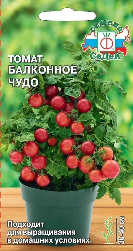 Томат Балконное Чудо (СеДек)