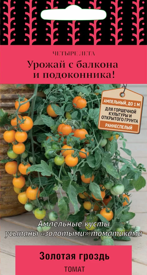 Томат Золотая гроздь 