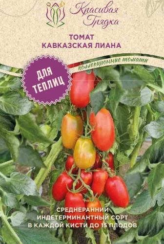 Кавказская лиана