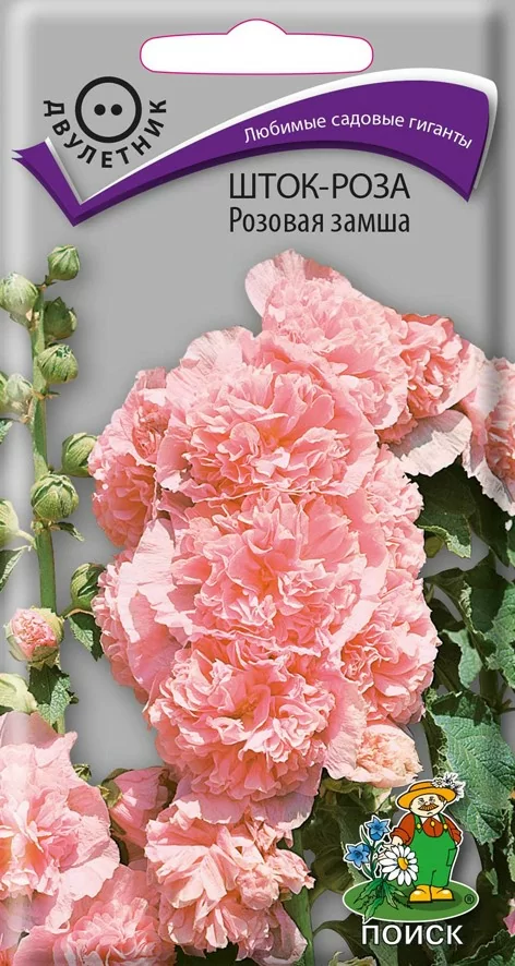 Шток-роза Розовая замша