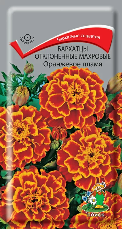 Бархатцы отклоненные махровые (Тагетес отклонённый) Оранжевое пламя