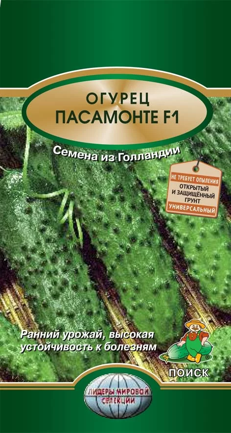 Огурец Пасамонте F1 (Поиск)