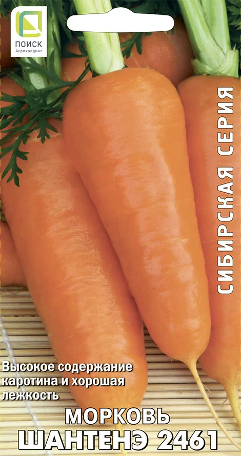Морковь Шантенэ 2461 (Поиск)