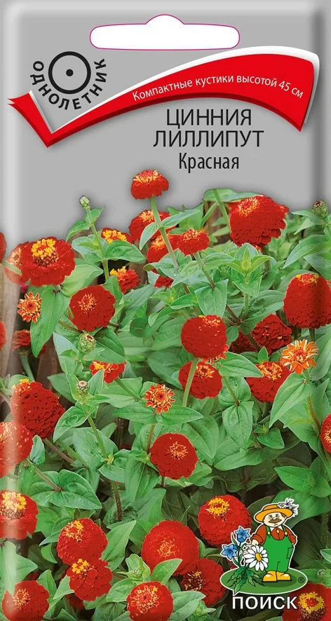 Цинния лиллипут Красная 