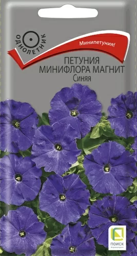 Петуния минифлора Магнит Синяя 