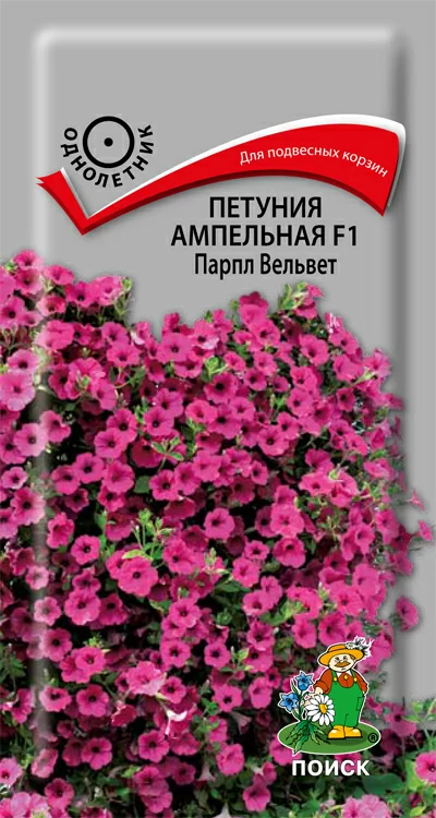 Петуния ампельная F1 Парпл Вельвет 