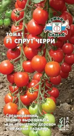 Томат Спрут черри F1