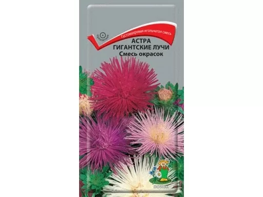 Астра Гигантские лучи Смесь окрасок (Поиск) (0,3 гр. Поиск 111795)