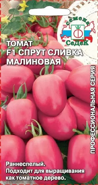 Томат Спрут Сливка Малиновая F1