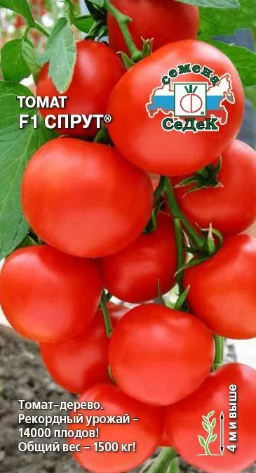 Томат F1 Спрут®
