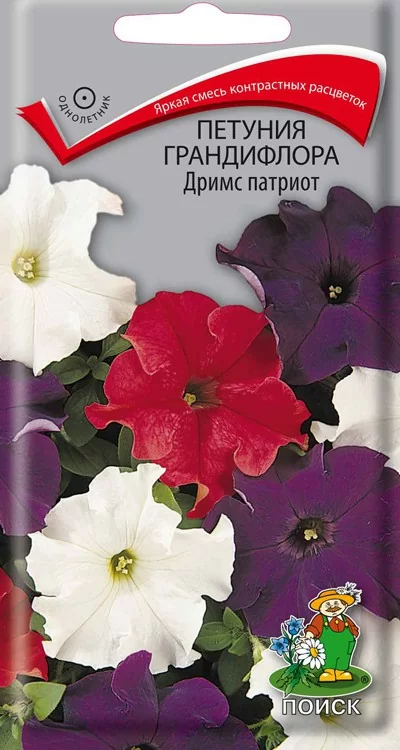 Петуния грандифлора Дримс патриот 