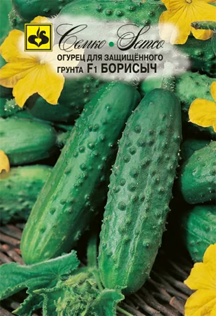 Огурец Борисыч F1
