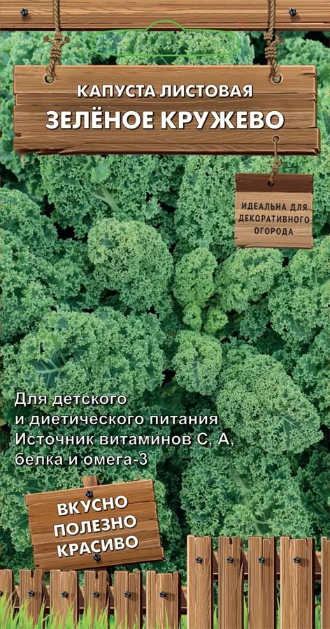 Капуста листовая Зеленое кружево 