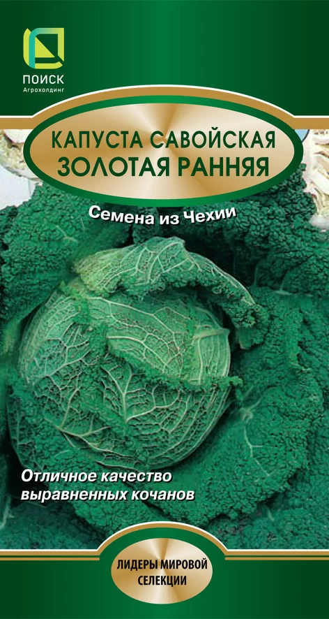 Капуста савойская Золотая Ранняя (Поиск)