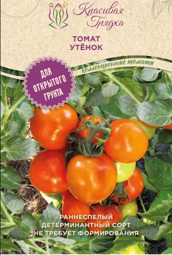 Утенок