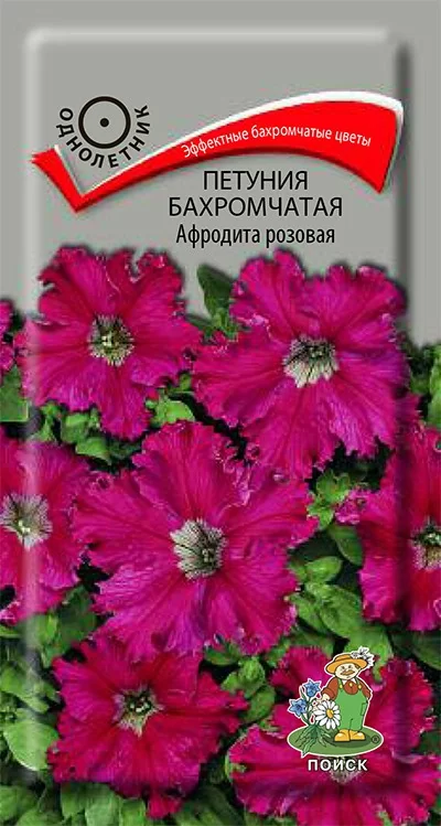 Петуния бахромчатая Афродита розовая