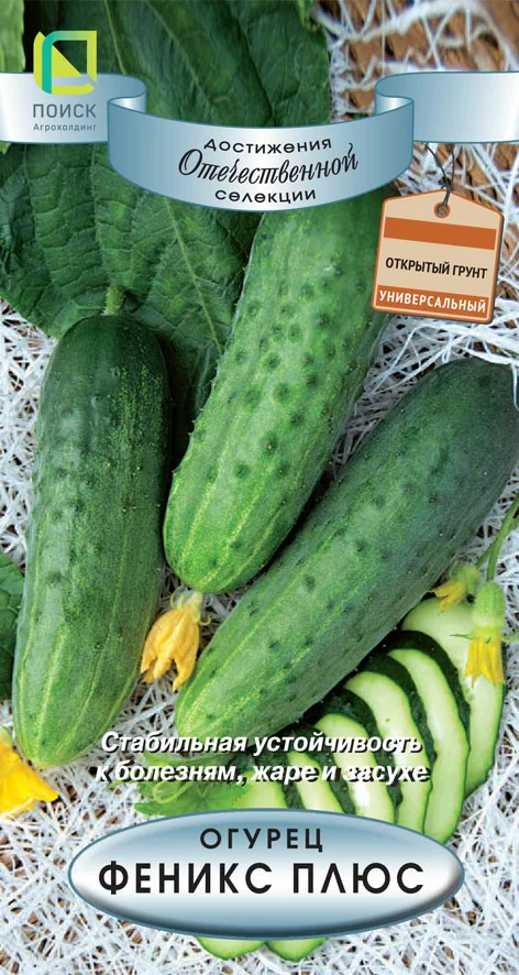 Огурец Феникс Плюс 
