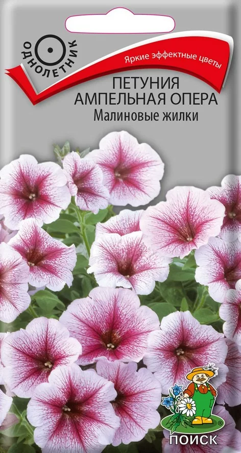 Петуния ампельная Опера Малиновые жилки