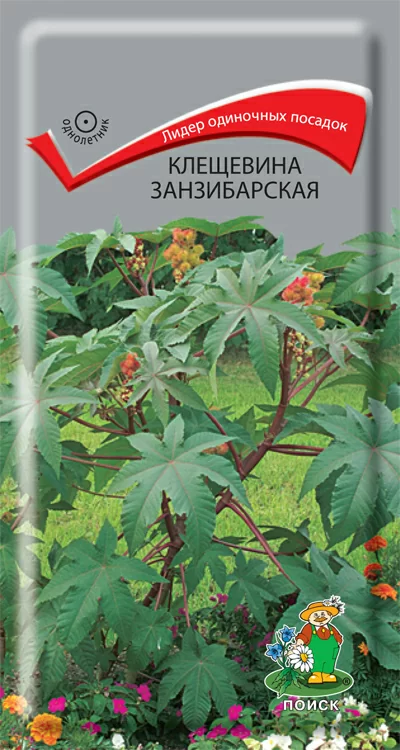 Клещевина (декоративная) занзибарская