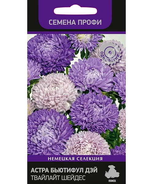 Астра Бьютифул Дэй Твайлайт Шейдес (Семена Профи)