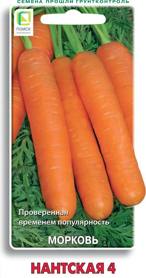 Морковь Нантская 4 (Поиск)