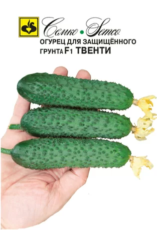 Огурец Твенти F1