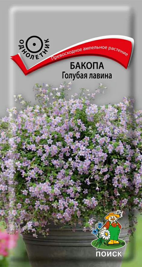 Бакопа Голубая лавина 