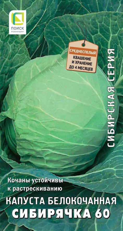 Капуста белокочанная Сибирячка 60 (сиб.серия) (ЦВ)