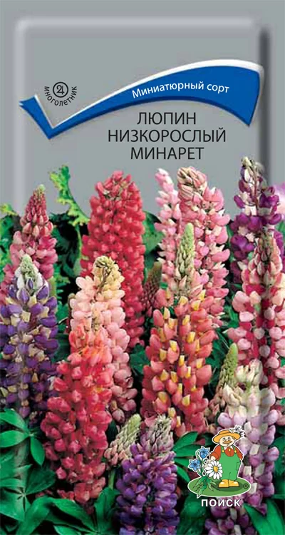 Люпин (декоративный) низкорослый Минарет 