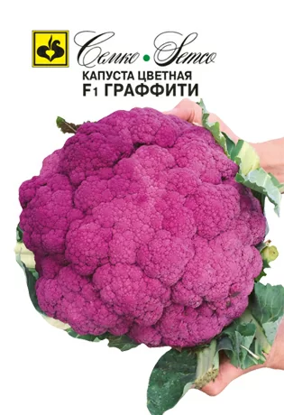 Капуста цветная Граффити F1
