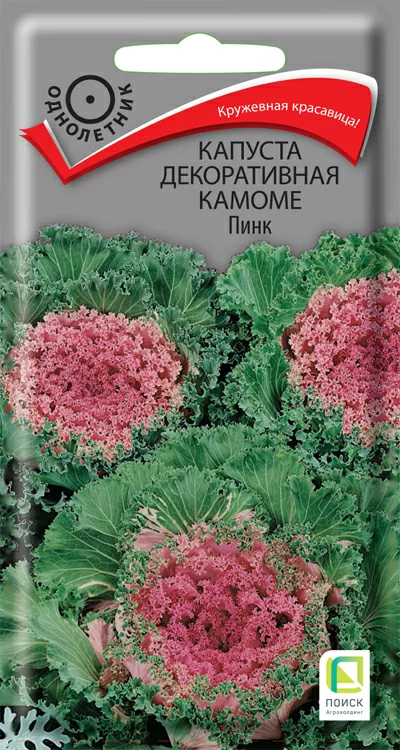 Капуста декоративная Камоме Пинк