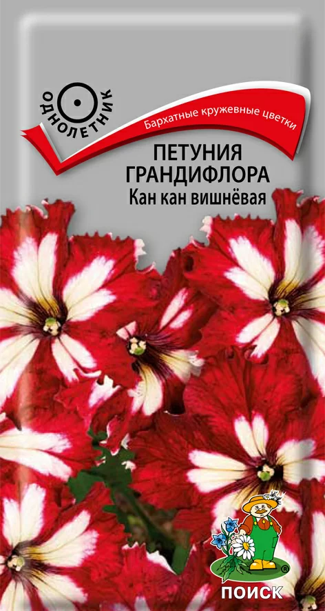 Петуния грандифлора Как кан вишневая 