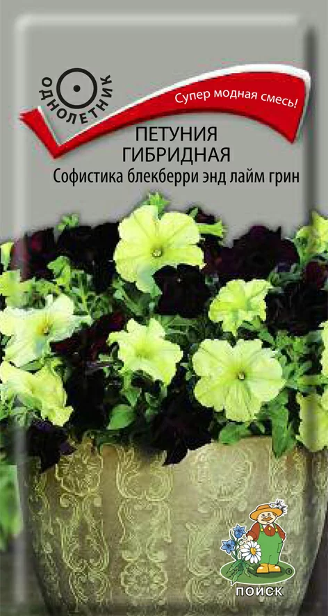 Петуния гибридная Софистика Блекберри энд лайм грин