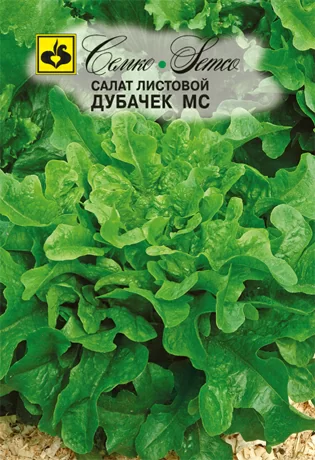Салат листовой Дубачек МС (Семко)