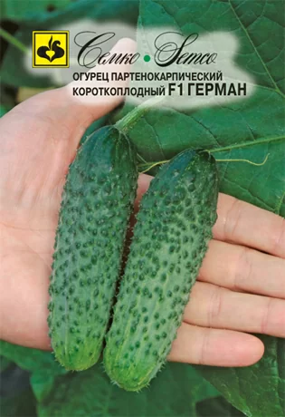 Огурец Герман F1 (Семко)