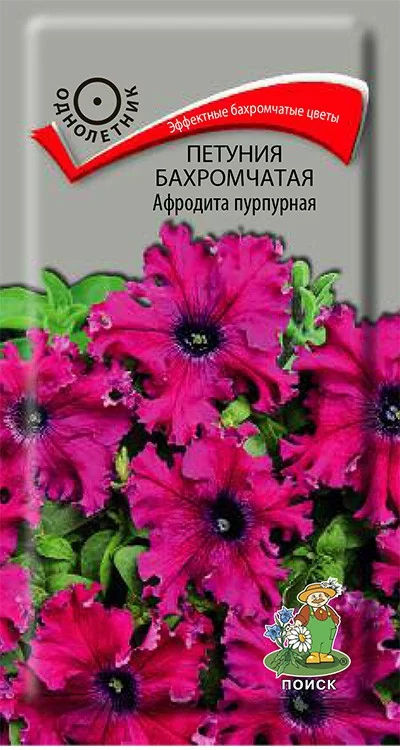 Петуния бахромчатая Афродита пурпурная 
