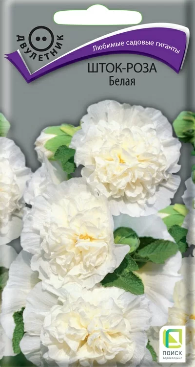 Шток-роза Белая 
