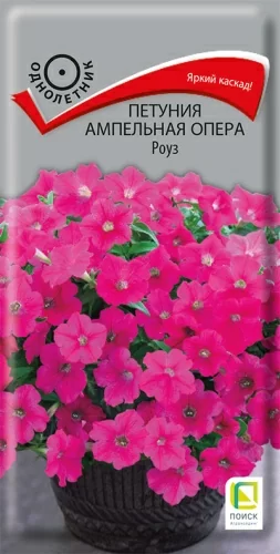Петуния ампельная Опера Роуз
