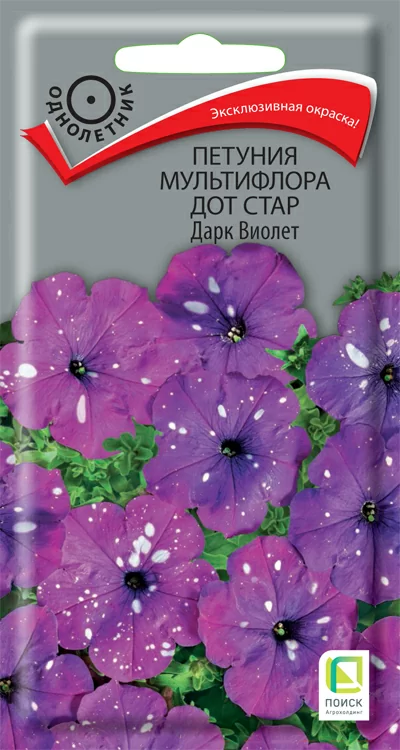 Петуния мультифлора Дот Стар Дарк Виолет 