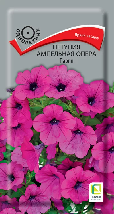 Петуния ампельная Опера Парпл 
