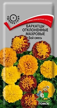 Бархатцы отклоненные махровые Бой смесь
